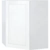 Sunco 24w X 30h X 12d White Shaker Angle Corner Wall Cabinet 1 Sunco 24w X 30h X 12d White Shaker Angle Corner Wall Cabinet -Home Storage And Cleaning 150195 v MainProductImage Lg