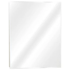 Zenith 24w X 30"h Dual Mount Single Door Medicine Cabinet With Beveled Mirror